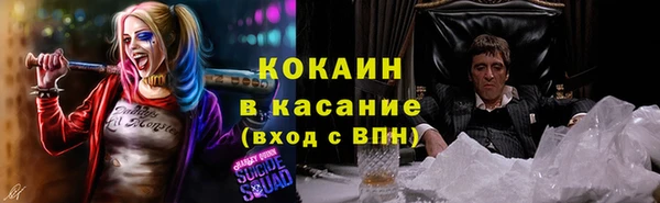 крисы Куйбышев