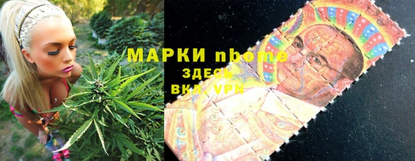 мдпв Краснослободск