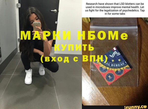 мдпв Краснослободск