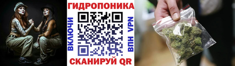 Бошки марихуана LSD WEED  Купить  Опочка